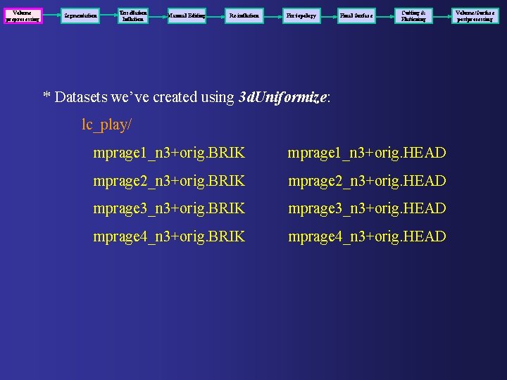 Volume preprocessing Segmentation Tessellation Inflation Manual Editing Re-inflation Fix topology Final Surface Cutting &