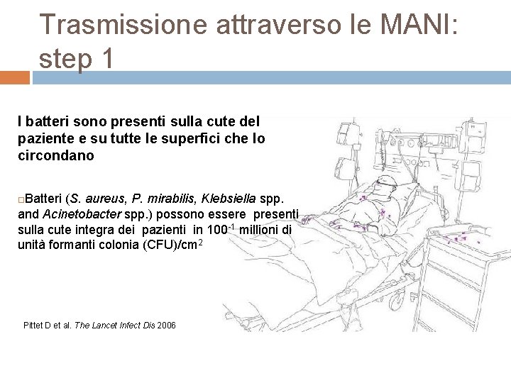 Trasmissione attraverso le MANI: step 1 I batteri sono presenti sulla cute del paziente