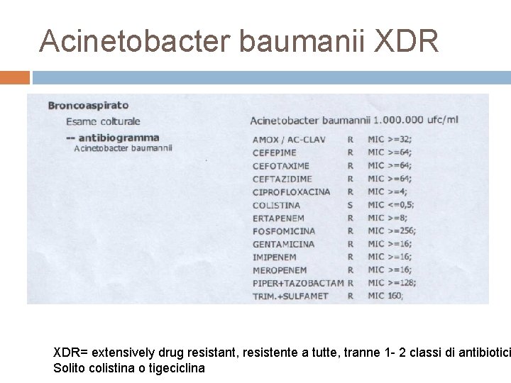 Acinetobacter baumanii XDR= extensively drug resistant, resistente a tutte, tranne 1 - 2 classi