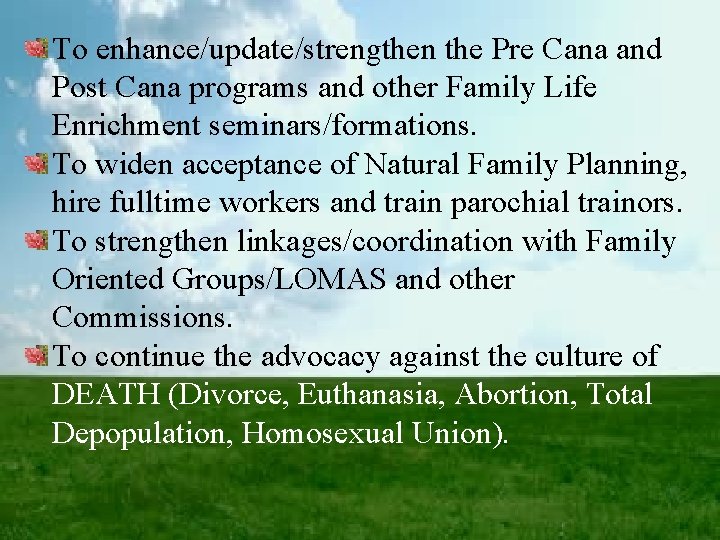 To enhance/update/strengthen the Pre Cana and Post Cana programs and other Family Life Enrichment