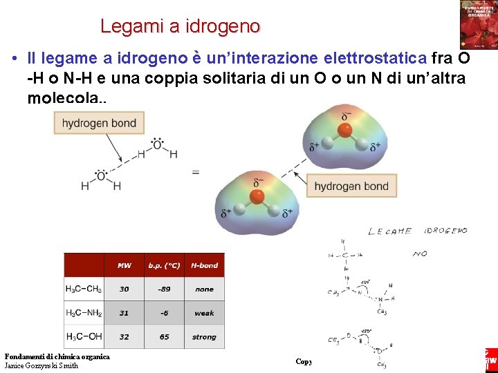 Legami a idrogeno • Il legame a idrogeno è un’interazione elettrostatica fra O -H