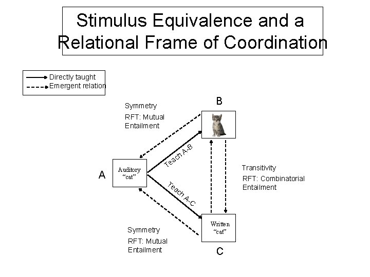Stimulus Equivalence and a Relational Frame of Coordination Directly taught Emergent relation B Symmetry