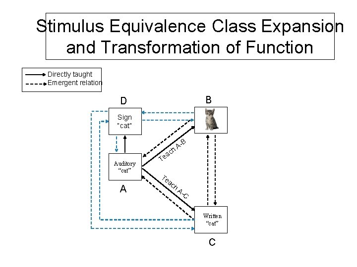Stimulus Equivalence Class Expansion and Transformation of Function Directly taught Emergent relation B D