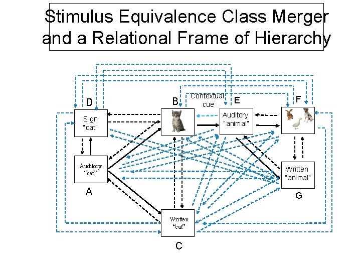 Stimulus Equivalence Class Merger and a Relational Frame of Hierarchy D B Contextual cue