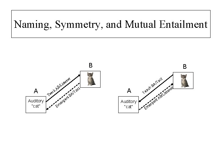 Naming, Symmetry, and Mutual Entailment B B er A Auditory “cat” ct n ste