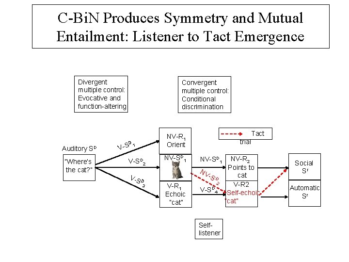 C-Bi. N Produces Symmetry and Mutual Entailment: Listener to Tact Emergence Divergent multiple control:
