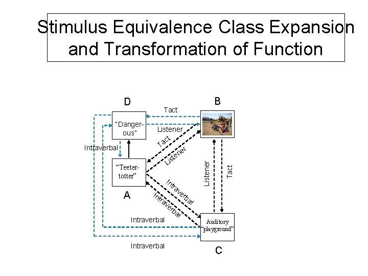 Stimulus Equivalence Class Expansion and Transformation of Function Intraverbal “Teetertotter” A Tact Listener ct