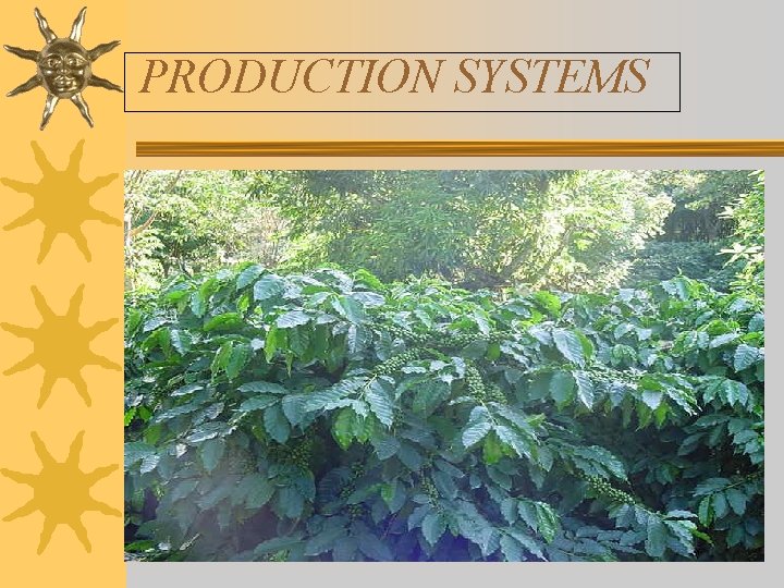 PRODUCTION SYSTEMS 