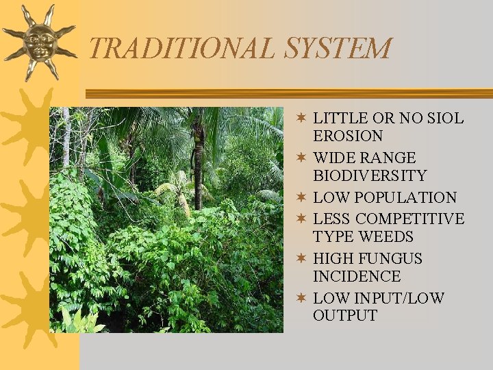 TRADITIONAL SYSTEM ¬ LITTLE OR NO SIOL EROSION ¬ WIDE RANGE BIODIVERSITY ¬ LOW