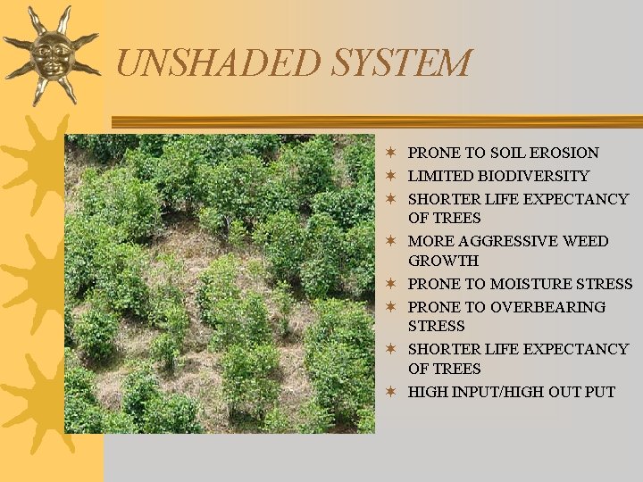 UNSHADED SYSTEM ¬ PRONE TO SOIL EROSION ¬ LIMITED BIODIVERSITY ¬ SHORTER LIFE EXPECTANCY