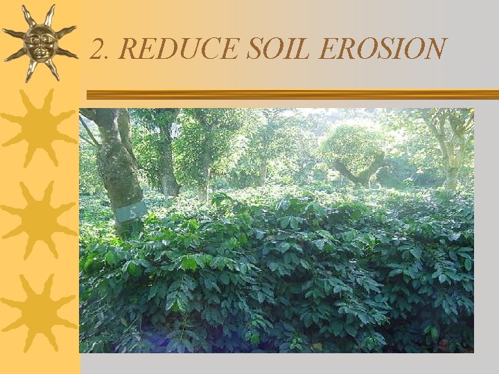 2. REDUCE SOIL EROSION 