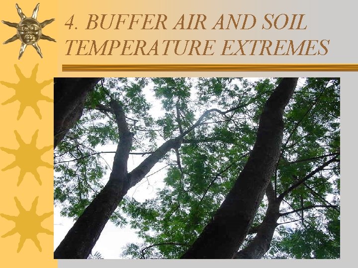 4. BUFFER AIR AND SOIL TEMPERATURE EXTREMES 