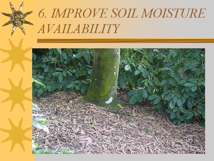 6. IMPROVE SOIL MOISTURE AVAILABILITY 