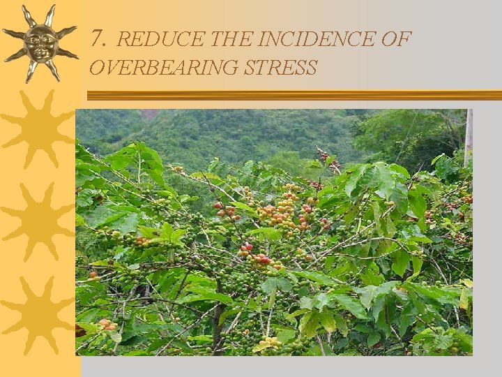 7. REDUCE THE INCIDENCE OF OVERBEARING STRESS 