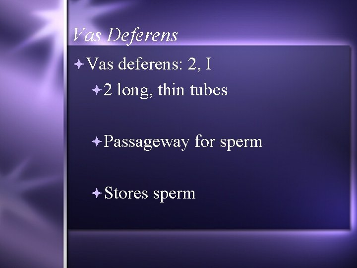 Vas Deferens Vas deferens: 2, I 2 long, thin tubes Passageway for sperm Stores