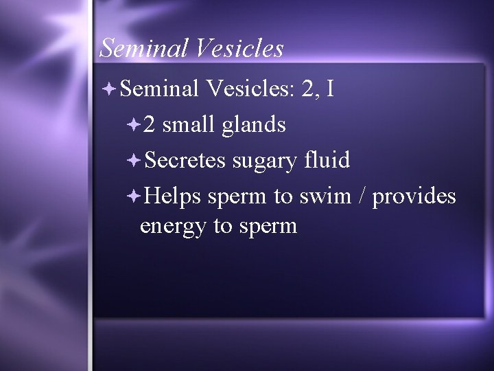 Seminal Vesicles: 2, I 2 small glands Secretes sugary fluid Helps sperm to swim