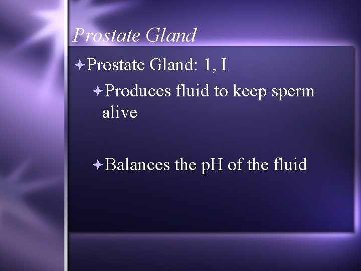 Prostate Gland: 1, I Produces fluid to keep sperm alive Balances the p. H