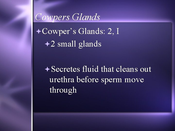 Cowpers Glands Cowper’s Glands: 2, I 2 small glands Secretes fluid that cleans out