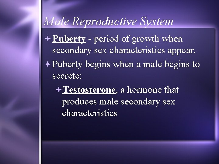 Male Reproductive System Puberty - period of growth when secondary sex characteristics appear. Puberty