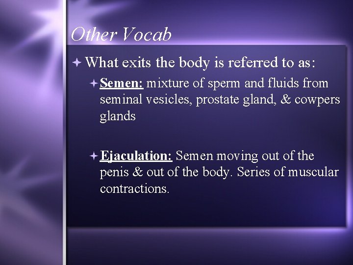 Other Vocab What exits the body is referred to as: Semen: mixture of sperm