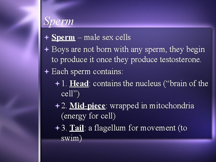 Sperm – male sex cells Boys are not born with any sperm, they begin