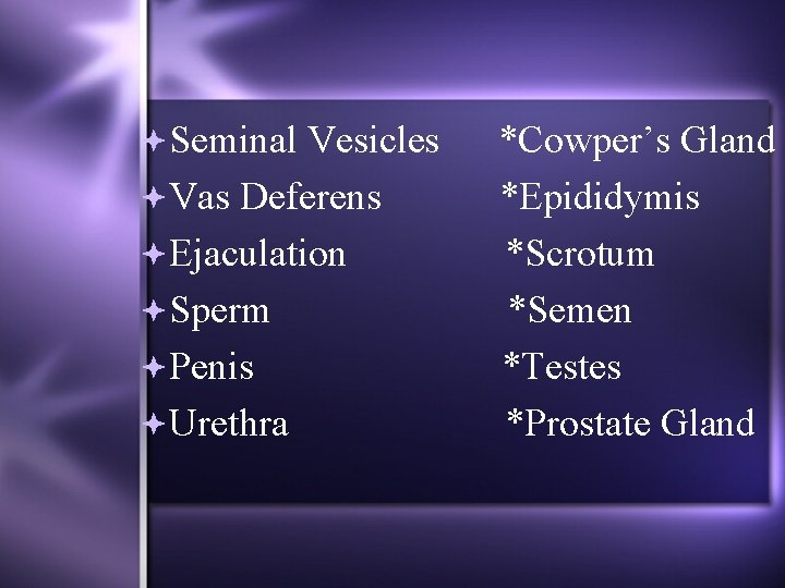  Seminal Vesicles Vas Deferens Ejaculation Sperm Penis Urethra *Cowper’s Gland *Epididymis *Scrotum *Semen