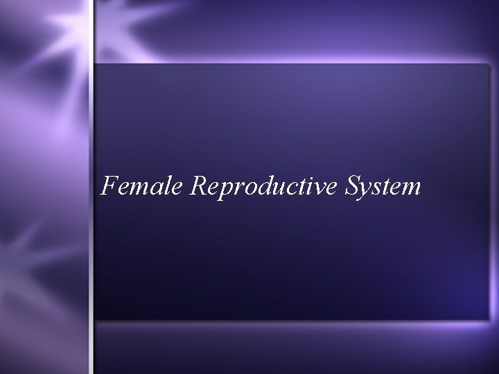 Female Reproductive System 