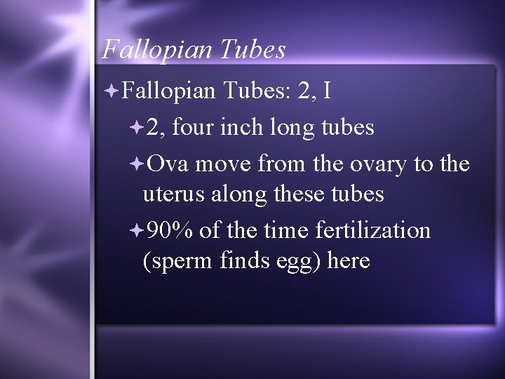 Fallopian Tubes: 2, I 2, four inch long tubes Ova move from the ovary