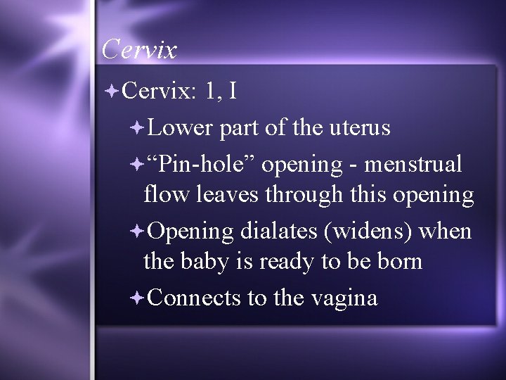 Cervix: 1, I Lower part of the uterus “Pin-hole” opening - menstrual flow leaves