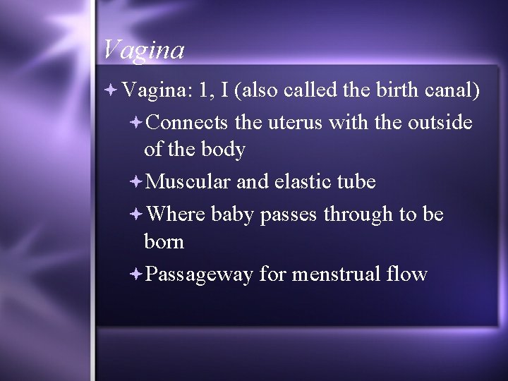 Vagina Vagina: 1, I (also called the birth canal) Connects the uterus with the