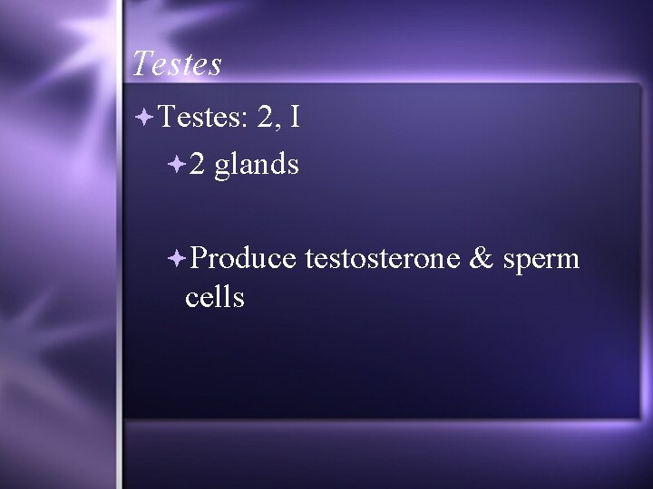 Testes: 2, I 2 glands Produce testosterone & sperm cells 