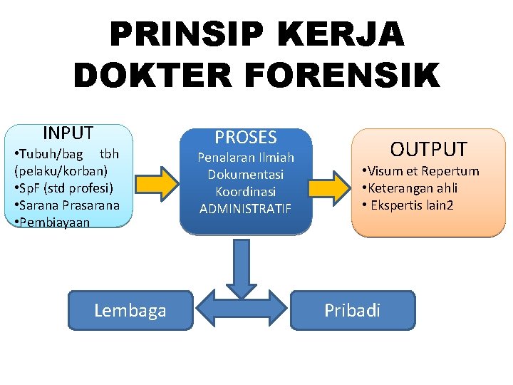 PRINSIP KERJA DOKTER FORENSIK INPUT • Tubuh/bag tbh (pelaku/korban) • Sp. F (std profesi)