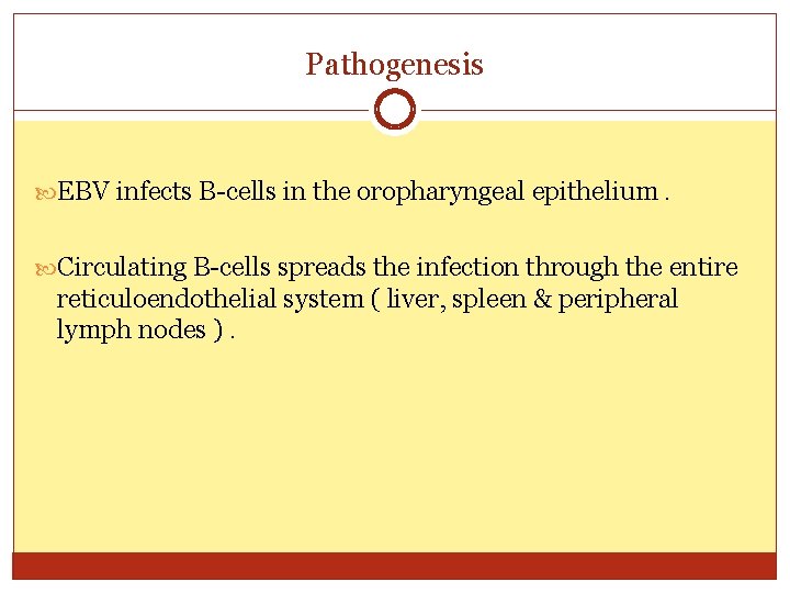 Pathogenesis EBV infects B-cells in the oropharyngeal epithelium. Circulating B-cells spreads the infection through
