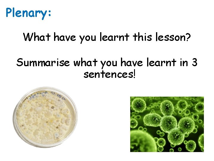 Plenary: What have you learnt this lesson? Summarise what you have learnt in 3