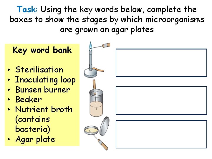 Task: Using the key words below, complete the boxes to show the stages by