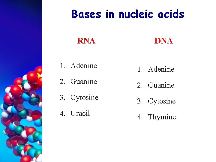 Bases in nucleic acids RNA DNA 1. Adenine 2. Guanine 3. Cytosine 4. Uracil