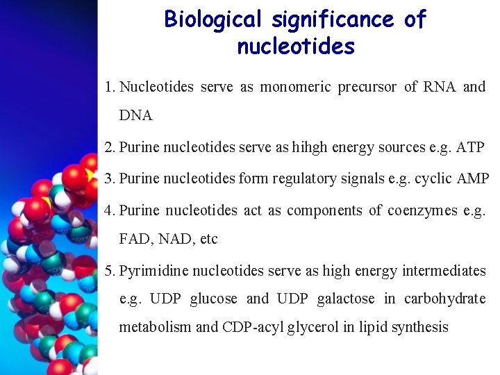 Biological significance of nucleotides 1. Nucleotides serve as monomeric precursor of RNA and DNA
