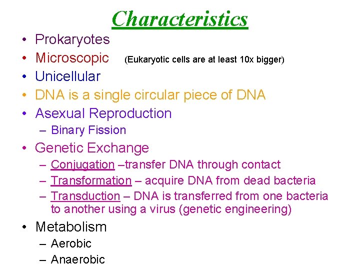 Characteristics • • • Prokaryotes Microscopic (Eukaryotic cells are at least 10 x bigger)
