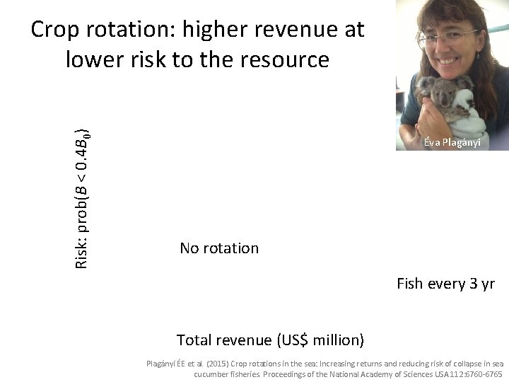 Risk: prob(B < 0. 4 B 0) Crop rotation: higher revenue at lower risk