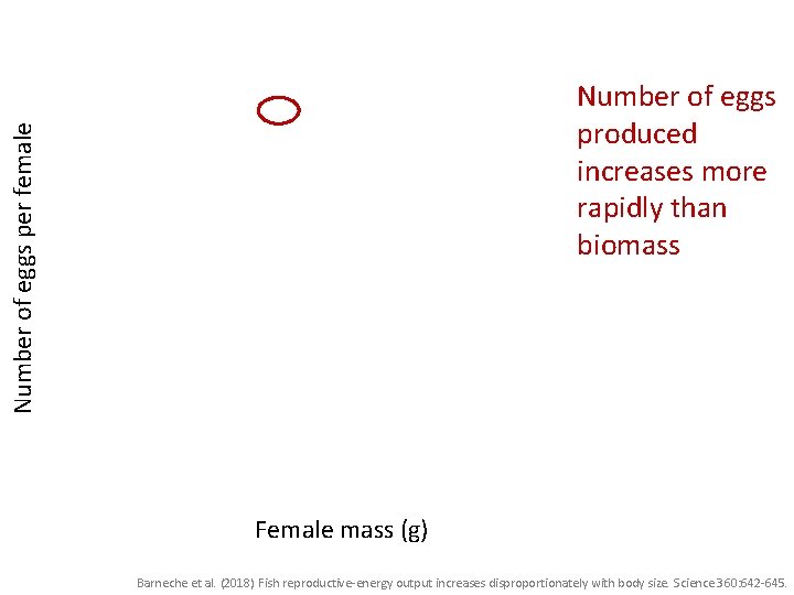Number of eggs per female Number of eggs produced increases more rapidly than biomass