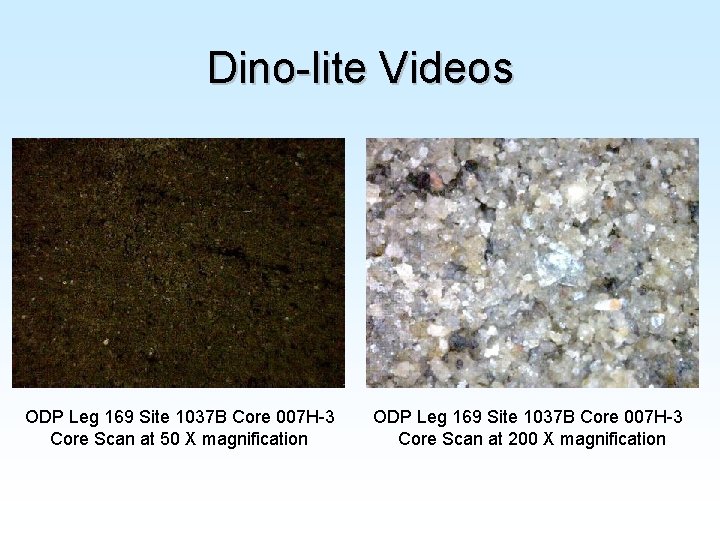 Dino-lite Videos ODP Leg 169 Site 1037 B Core 007 H-3 Core Scan at