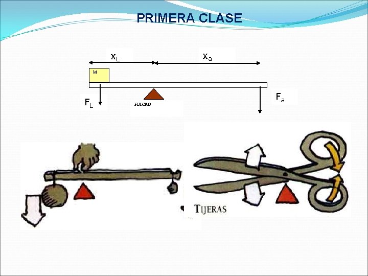 PRIMERA CLASE xa x. L M FL FULCRO Fa 