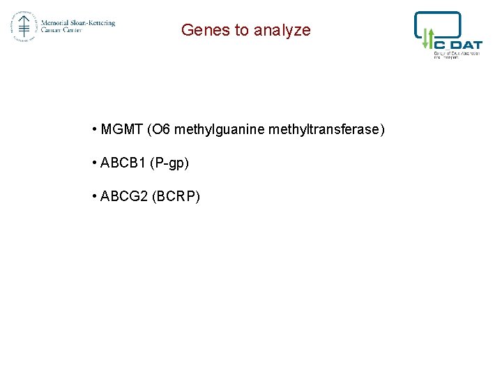 Genes to analyze • MGMT (O 6 methylguanine methyltransferase) • ABCB 1 (P-gp) •