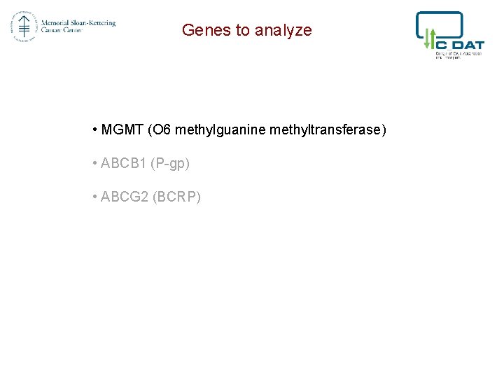 Genes to analyze • MGMT (O 6 methylguanine methyltransferase) • ABCB 1 (P-gp) •