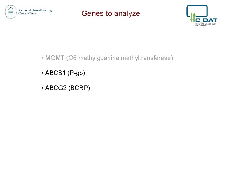 Genes to analyze • MGMT (O 6 methylguanine methyltransferase) • ABCB 1 (P-gp) •