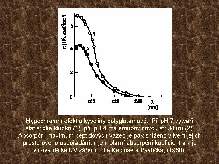 Hypochromní efekt u kyseliny polyglutamové. Při p. H 7 vytváří statistické klubko (1), při