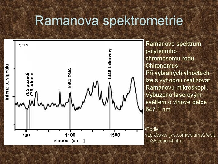 Ramanova spektrometrie Ramanovo spektrum polytenního chromosomu rodu Chironomus. Při vybraných vlnočtech lze s výhodou