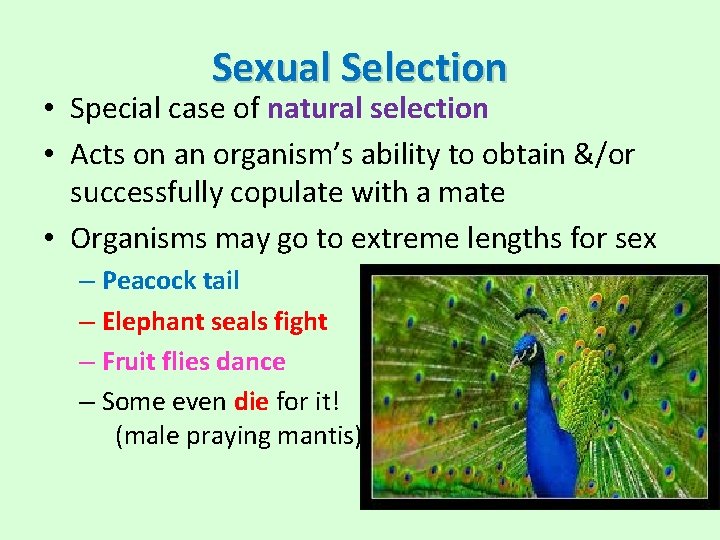 Sexual Selection • Special case of natural selection • Acts on an organism’s ability