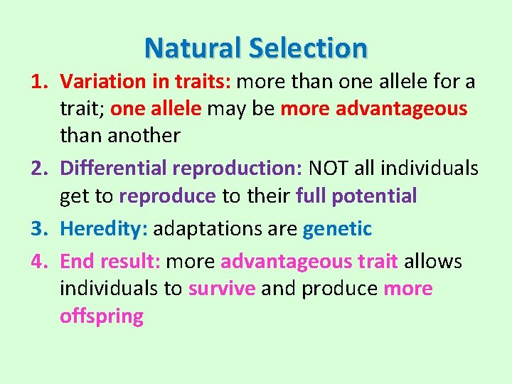 Natural Selection 1. Variation in traits: more than one allele for a trait; one