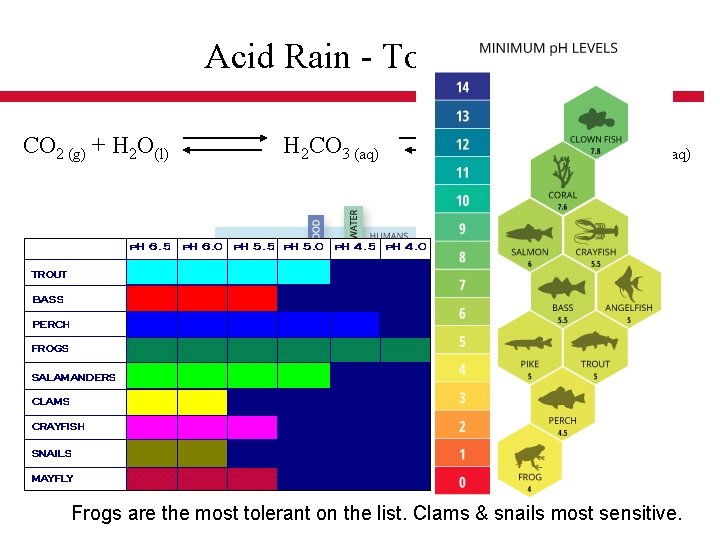 Acid Rain - Tolerances CO 2 (g) + H 2 O(l) H 2 CO